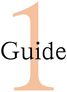 Guide Number