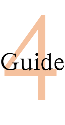 Guide Number